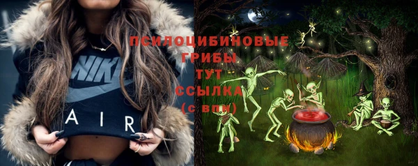 ПСИЛОЦИБИНОВЫЕ ГРИБЫ Семилуки