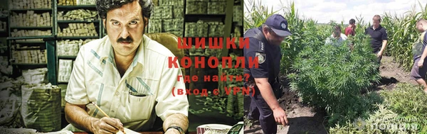 ПСИЛОЦИБИНОВЫЕ ГРИБЫ Семилуки