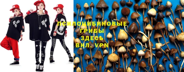 mdpv Верхний Тагил