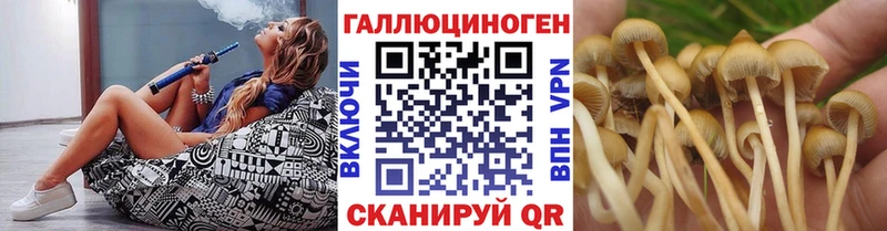 купить закладку  Люберцы  Галлюциногенные грибы GOLDEN TEACHER 